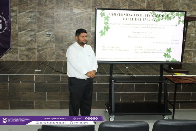 🎓✨ Felicitamos al egresado Javier Eduardo Zavala López por la exitosa presentación de su tesis, realizada el jueves 12 de febrero de 2026, titulada “Evaluación de compuestos bioactivos de higuerilla (Ricinus communis) y ajo (Allium sativum) para el control de plagas agrícolas”.

Este importante trabajo de investigación fue desarrollado durante su estadía como parte de su proceso de titulación en la Universidad Politécnica del Valle del Évora, aportando alternativas sustentables para el manejo de plagas en el sector agrícola.

El jurado estuvo conformado por las y los miembros: Dra. Mónica Acuña Jiménez, M.C. Luis Esteban Soto Moreno, y la Ing. Fidelia Higuera Blancarte. Tras la defensa del proyecto, el sustentante aprobó por unanimidad el examen de grado, obteniendo el título de Ingeniero en Agrobiotecnología.

La tesis fue ratificada por la Rectora Dra. Imelda Zayas Barreras y el Secretario Académico M.T.I. Arnoldo Sánchez López.

¡Muchas felicidades por este gran logro académico y profesional! Le deseamos mucho éxito en su camino. 🌱

#SomosUPVE
#PorElDesarrolloYLaGrandeza
#SomosDelfinesUPVE