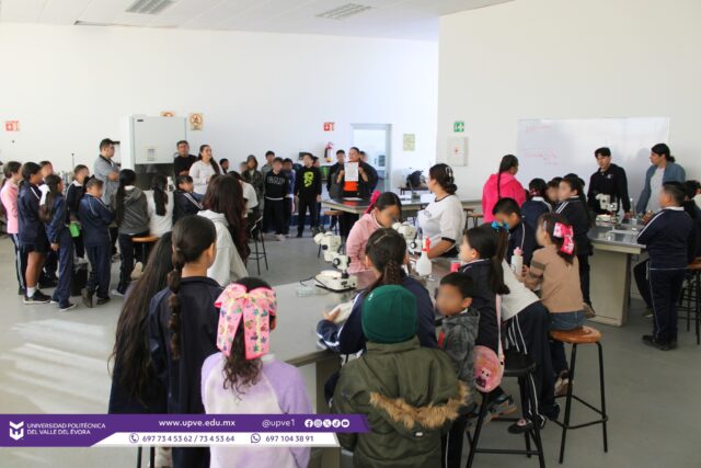🔬👩‍🔬✨ Ciencia en acción: Taller especial por el Día de la Mujer y la Niña en la Ciencia.

En la UPVE se llevó a cabo un taller con motivo del Día Internacional de la Mujer y la Niña en la Ciencia, con el objetivo de acercar el conocimiento científico a estudiantes de nivel básico mediante actividades prácticas y demostrativas.

Se contó con la participación de alumnas y alumnos de la Escuela Primaria Rafael Ramírez, ubicada en la Colonia Sinaloa, Angostura, quienes desarrollaron prácticas en el laboratorio de química, como:

✅ Identificación de órganos vegetales
✅ Identificación de células
✅ Identificación de insectos
✅ Observación de sangre en el microscopio.

Las actividades fueron impartidas por las profesoras Ing. Fidelia Higuera Blancarte y M.C. Adriana Rivera López, con el acompañamiento de estudiantes de la carrera de Ingeniería en Manejo de Recursos Naturales. 

Asimismo, se contó con el apoyo de los profesores M.C. Juan Jaime Fuentes Uriarte y M.T.I. César Octavio Altamirano Gonzáles, quienes dirigieron la práctica de Simulación de Manejo de Dron en pantalla interactiva.

Este tipo de experiencias fortalecen el interés por la ciencia y motivan a niñas y niños a explorar, preguntar y descubrir. 🔬👩‍🔬✨

#SomosUPVE
#PorElDesarrolloYLaGrandeza
#SomosDelfinesUPVE