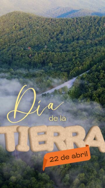 🌿✨Estudiantes en acción por un mejor entorno 💪🧹

Así se vivió nuestra jornada de limpieza dentro de la universidad, como parte de Tequios por la Paz 🙌💚

Además de contribuir al cuidado de nuestros espacios, estas actividades también se realizan como parte de acciones recreativas para las y los jóvenes, fomentando la convivencia y el trabajo en equipo 🌎✨

@sepmx 
#TequiosPorLaPaz
#JornadaPorLaPazYContraLasAdicciones
#ElFentaniloTeMata
#JóvenesPorLaTransformación
#SomosUPVE
#PorElDesarrolloYLaGrandeza
#SomosDelfinesUPVE
