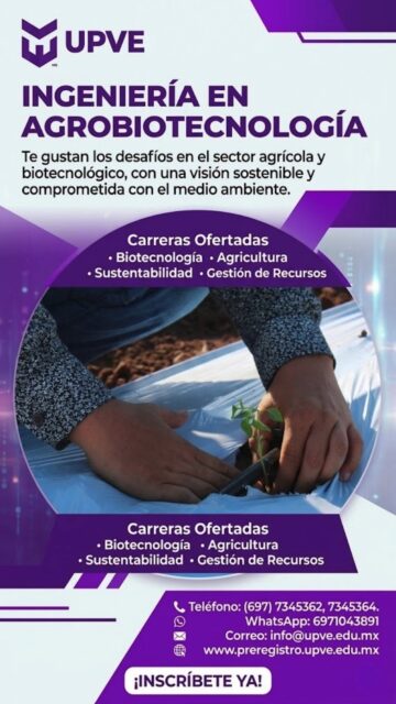 🎓✨ Tu futuro empieza aquí…
¡Conoce la oferta educativa de la UPVE y asegura tu lugar.
Preinscríbete hoy ✍️
🔗 https://www.upve.edu.mx/ingreso/
#SomosUPVE
#PorElDesarrolloYLaGrandeza
#SomosDelfinesUPVE