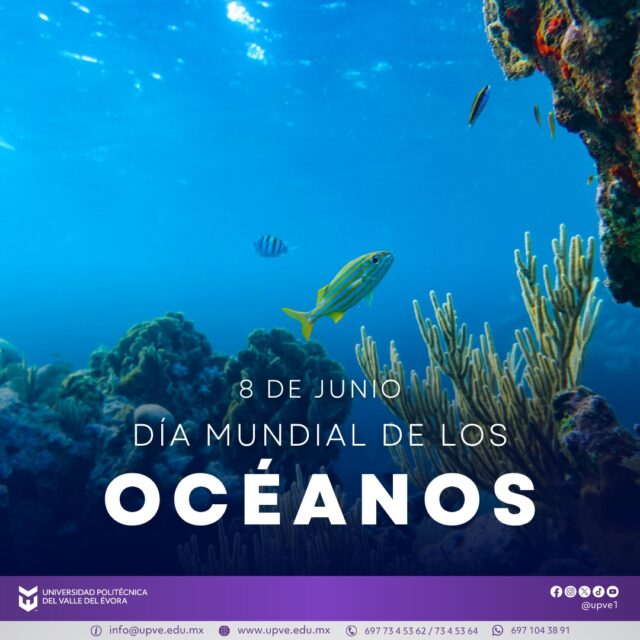 08 de junio | Día Mundial de los Océanos 🌊🐋
Cada 8 de junio conmemoramos el Día Mundial de los Océanos, una fecha para reflexionar sobre la importancia de estos vastos ecosistemas que cubren más del 70 % de nuestro planeta y hacen posible la vida en la Tierra.
Los océanos regulan el clima, producen gran parte del oxígeno que respiramos y albergan una extraordinaria diversidad de especies. Su conservación es una responsabilidad compartida que requiere acciones conscientes para reducir la contaminación, proteger la vida marina y promover el uso sostenible de los recursos naturales.
Cuidar de los océanos es cuidar nuestro futuro. Pequeñas acciones, como disminuir el consumo de plásticos y fomentar una cultura de respeto por el medio ambiente, pueden generar grandes cambios.
#DíaMundialDeLosOcéanos
#SomosUPVE
#PorElDesarrolloYLaGrandeza
#SomosDelfinesUPVE