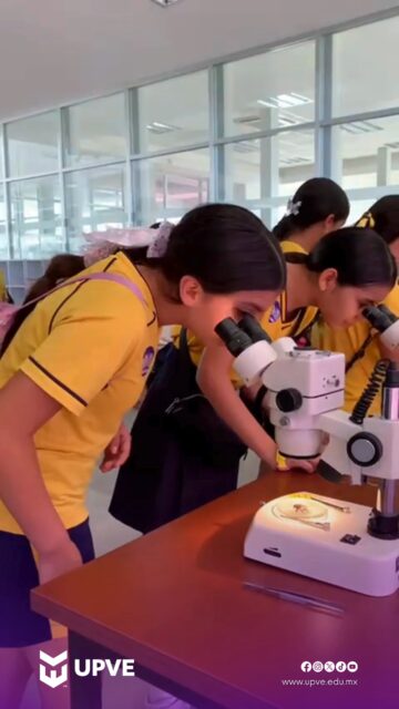 🔬 ¡La UPVE fue sede del 3er Encuentro Nacional de Niñas STEM UTyP 2026! 👩🔬🚀
Niñas y niños de las escuelas primarias “Leyes de Reforma” y “Margarito Gutiérrez Castro” vivieron una jornada llena de ciencia, tecnología e innovación en nuestro Centro de Información de la UPVE 💜🐬
¡Inspirando a las futuras científicas, ingenieras y líderes del mañana! 🌟
#NiñasSTEM
#encuentronacionalniñasstem2026
#SomosUPVE
#PorElDesarrolloYLaGrandeza
#SomosDelfinesUPVE