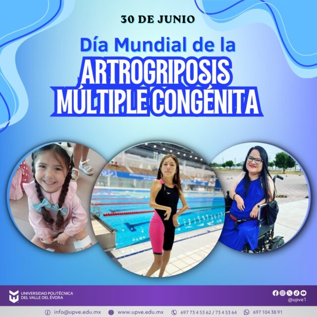 30 de junio | Día Mundial de la Artrogriposis Múltiple Congénita 💙
Hoy nos unimos para visibilizar la Artrogriposis Múltiple Congénita (AMC), una condición presente desde el nacimiento que afecta la movilidad de dos o más articulaciones y que requiere atención, acompañamiento y comprensión.
En este día, reafirmamos nuestro compromiso con la construcción de una sociedad más inclusiva, donde todas las personas tengan acceso a oportunidades, educación y espacios libres de barreras.
La información, la empatía y el respeto son fundamentales para promover una cultura de inclusión y reconocer las capacidades, talentos y logros de quienes viven con esta condición.
#AMC
#SomosUPVE
#PorElDesarrolloYLaGrandeza
#SomosDelfinesUPVE