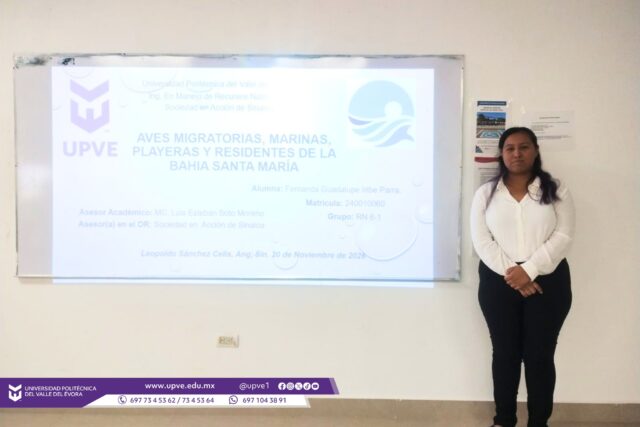Estudiantes de Ingeniería en Manejo de Recursos Naturales presentan su primera estadía 🎓🌱
El día de hoy se llevó a cabo la evaluación de la primera estadía de estudiantes de la carrera de Ingeniería en Manejo de Recursos Naturales, quienes tuvieron la oportunidad de compartir las experiencias y aprendizajes adquiridos durante el desarrollo de diversos proyectos.
Durante esta evaluación, las y los estudiantes presentaron proyectos enfocados en los ámbitos ambiental, social y económico, contribuyendo a la protección, conservación y aprovechamiento responsable de los recursos naturales de nuestra región.
La evaluación estuvo a cargo de la Ing. Bianca Dariana Zavala Aguirre y el M.C. Luis Esteban Soto Moreno, quienes fungieron como sinodales.
Reconocemos el esfuerzo, compromiso y dedicación de nuestras y nuestros estudiantes, quienes continúan fortaleciendo sus competencias profesionales y aportando, desde su formación, al desarrollo sustentable de nuestra región.
#SomosUPVE
#PorElDesarrolloYLaGrandeza
#SomosDelfinesUPVE