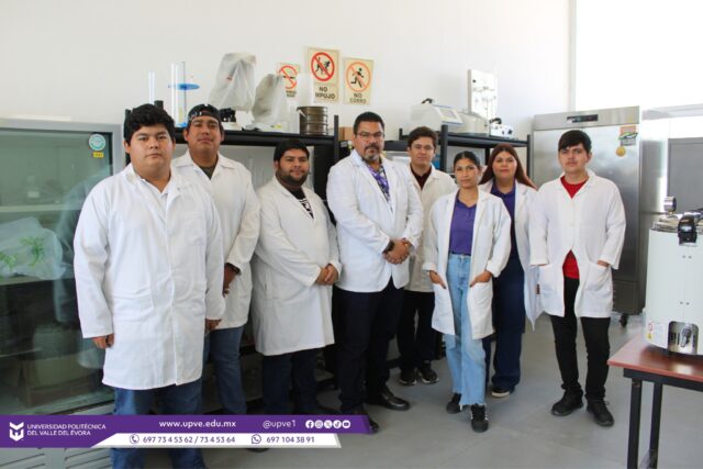 🌱🔬 INNOVACIÓN Y CIENCIA PARA EL CAMPO: LA UPVE INVESTIGA EL POTENCIAL DE LOS RECURSOS NATURALES.
La Universidad Politécnica del Valle del Évora, a través del programa educativo de Ingeniería en Agrobiotecnología, desarrolla proyectos de investigación enfocados en el aprovechamiento de recursos naturales terrestres y marinos para generar alternativas innovadoras ante los retos del sector agrícola.
Como parte de estos trabajos, se estudian compuestos presentes en diversas especies vegetales, mediante técnicas de extracción como la maceración y la extracción asistida por ultrasonido, con el propósito de evaluar su potencial frente a insectos y microorganismos fitopatógenos que afectan los cultivos.
Asimismo, en el ámbito de los recursos marinos, se investiga el aprovechamiento del calcio presente en conchas de ostión y pata de mula para evaluar su posible aplicación como fertilizante. También se estudian macroalgas como "Ulva lactuca" y "Gracilaria" para el desarrollo de bioestimulantes, así como su posible efecto frente a hongos asociados con enfermedades de las plantas, como los del género "Fusarium". 🦪🌿
Estos proyectos cuentan con la colaboración del Dr. Andrés León Villanueva, del Instituto Tecnológico Superior de Guasave, y del Dr. Jesús Mateo Amillano Cisneros, de la Universidad Politécnica del Mar y la Sierra, fortaleciendo la vinculación académica y científica.
Todos estos esfuerzos parten de una pregunta que impulsa la investigación en la UPVE:
¿Cómo aprovechar los recursos naturales para encontrar nuevas soluciones agrícolas?
Equipo de trabajo:
-Dra. Mónica Acuña Jiménez
-Dr. Héctor Reyes Tapia
-Ing. Felipe de Jesús López Cortés
-Ing. Javier Eduardo Zavala López
-Ing. Bianca Dariana Zavala Aguirre
-M.C. Luis Esteban Soto Moreno
-Ing. Fidelia Higuera Blancarte
Estudiantes:
-Dania Guadalupe Arredondo Pantoja
-José Damián Ramírez Saillé
-Manuel Adair Ochoa Luna
-Juan Diego de la Rosa Ibarra
-Kevin Alexis Zazueta Bojórquez
#DesarrolloSostenible
#SomosUPVE
#PorElDesarrolloYLaGrandeza
#SomosDelfinesUPVE