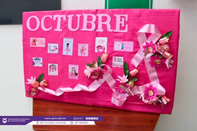 EL ARTE QUE INSPIRA Y CREA CONCIENCIA 💗🎀

La creatividad y el compromiso se unen en una causa que nos invita a reflexionar y crear conciencia.

Reconocemos el trabajo y la destacada participación de la maestra Josefina Medel López, quien, con talento, dedicación y sensibilidad, elaboró un mural conmemorativo al Día Mundial de la Lucha contra el Cáncer de Mama y el Mes Rosa, transmitiendo un mensaje de esperanza, prevención y solidaridad. 🎨

A través de su expresión artística, la maestra contribuye a sensibilizar a nuestra comunidad universitaria sobre la importancia de la detección oportuna, el autocuidado y la prevención del cáncer de mama.

¡Gracias, maestra Josefina Medel, por compartir su creatividad y talento para inspirar, informar y fortalecer esta importante causa!

La prevención salva vidas. ¡Explórate, cuídate y comparte el mensaje!

#MesRosa
#CáncerDeMama
#Prevención
#SomosUPVE
#PorElDesarrolloYLaGrandeza
#SomosDelfinesUPVE